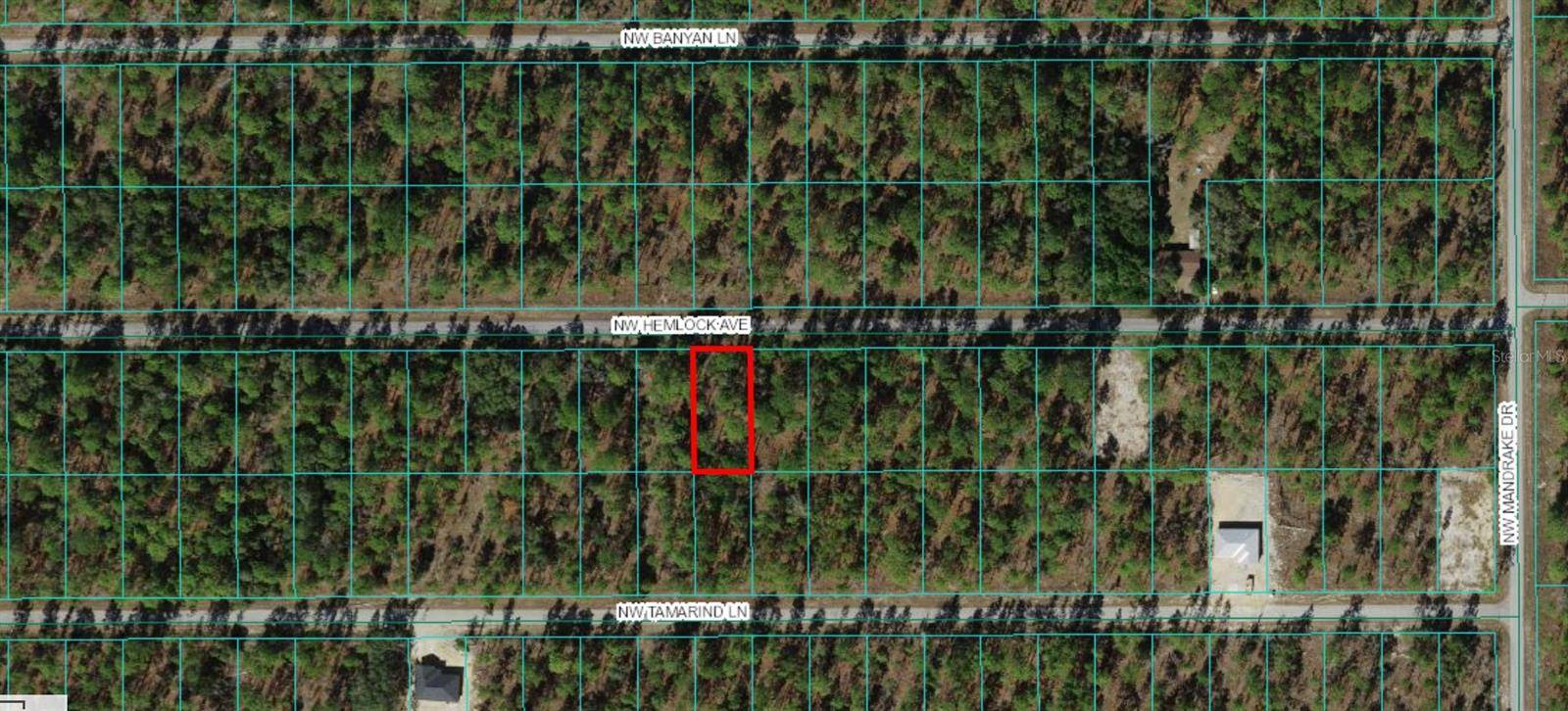 Ocklawaha, FL 32179,00 MAGNOLIA DR