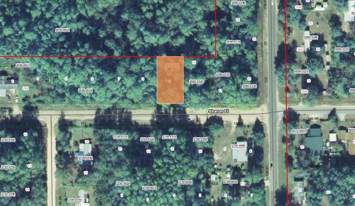 Interlachen, FL 32148,TBD Lot 9 SHARON ST