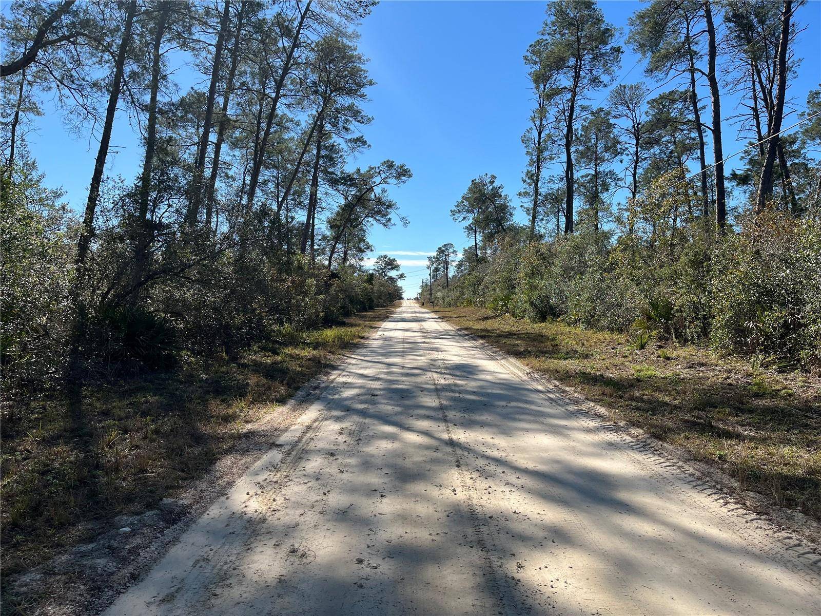 Dunnellon, FL 34433,6346 N POLAR PT