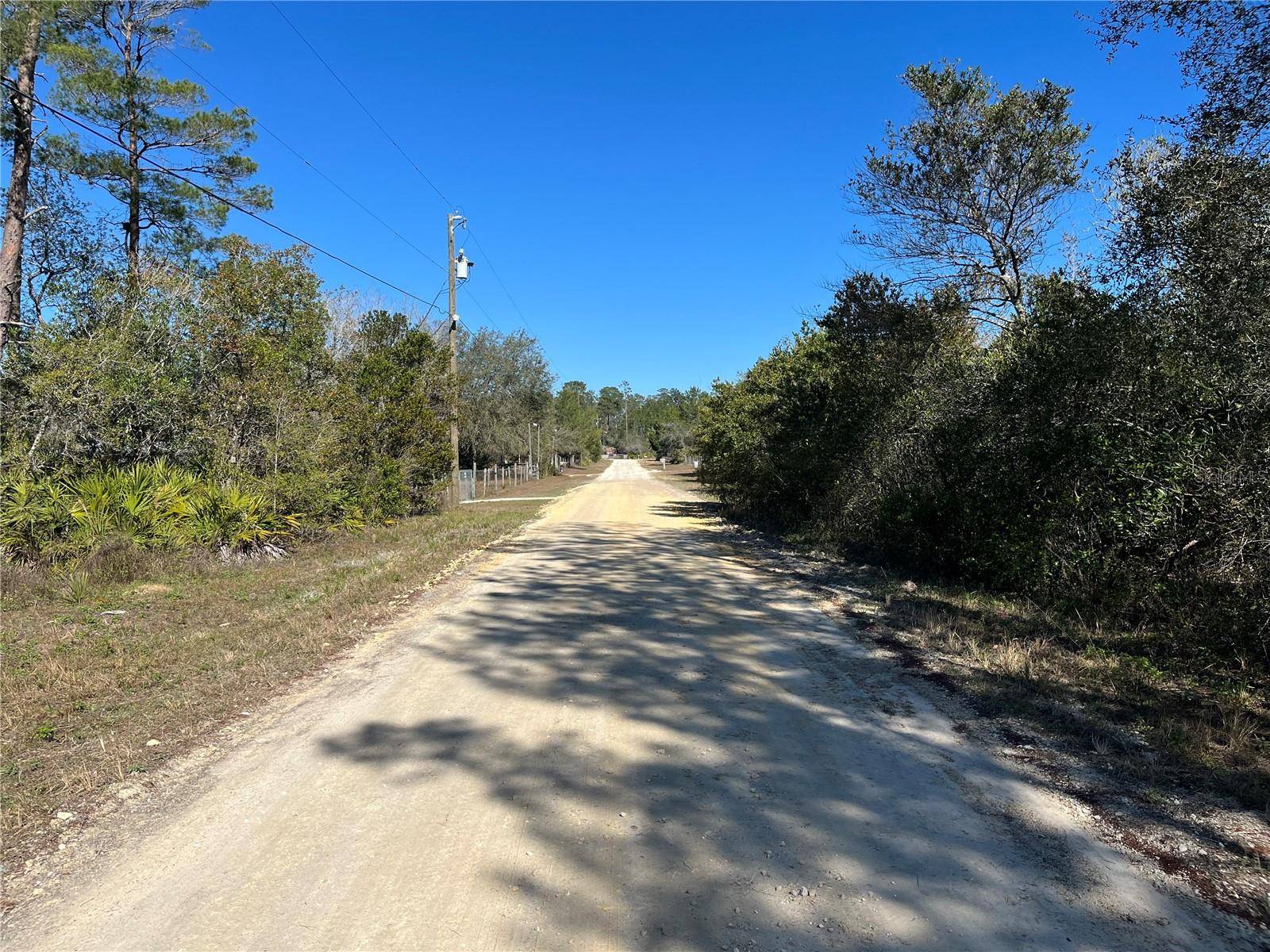 Dunnellon, FL 34433,6346 N POLAR PT