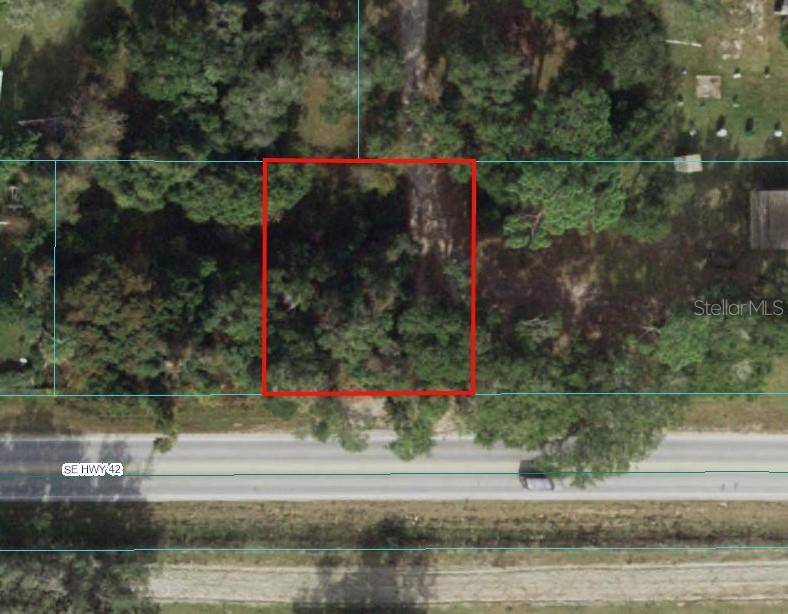 Umatilla, FL 32784,TBD SE HIGHWAY 42