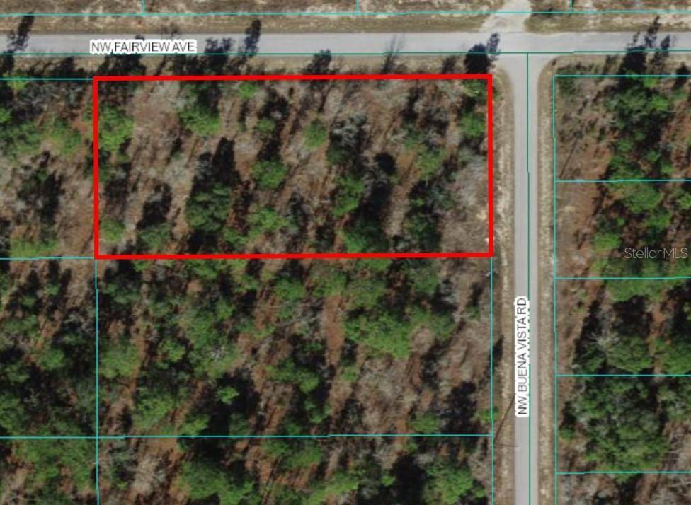 Dunnellon, FL 34431,Lot 1 NW BUENA VISTA RD