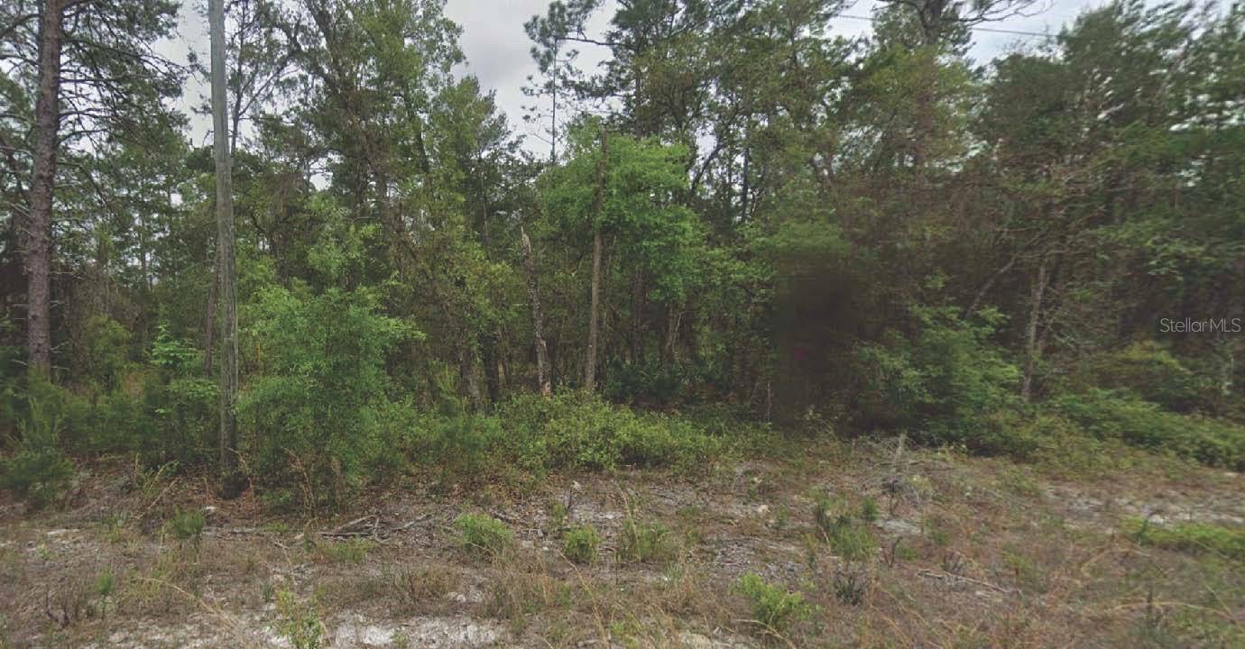 Satsuma, FL 32189,120 NEW YORK AVE