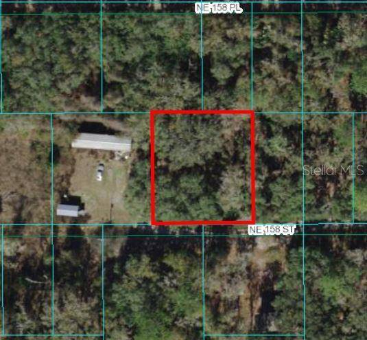 Fort Mc Coy, FL 32134,00 NE 158TH ST