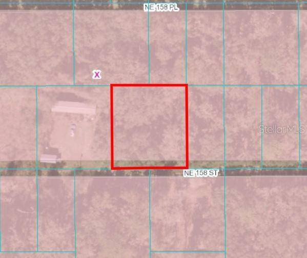 Fort Mc Coy, FL 32134,00 NE 158TH ST