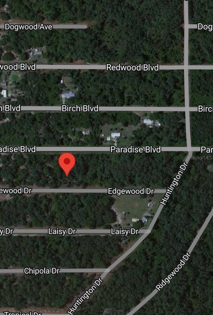 Georgetown, FL 32139,116 W EDGEWOOD DR