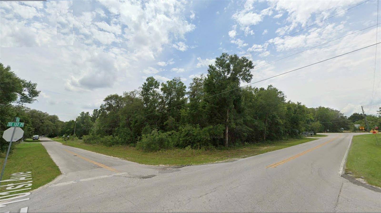 Belleview, FL 34420,0 SE 132ND PL