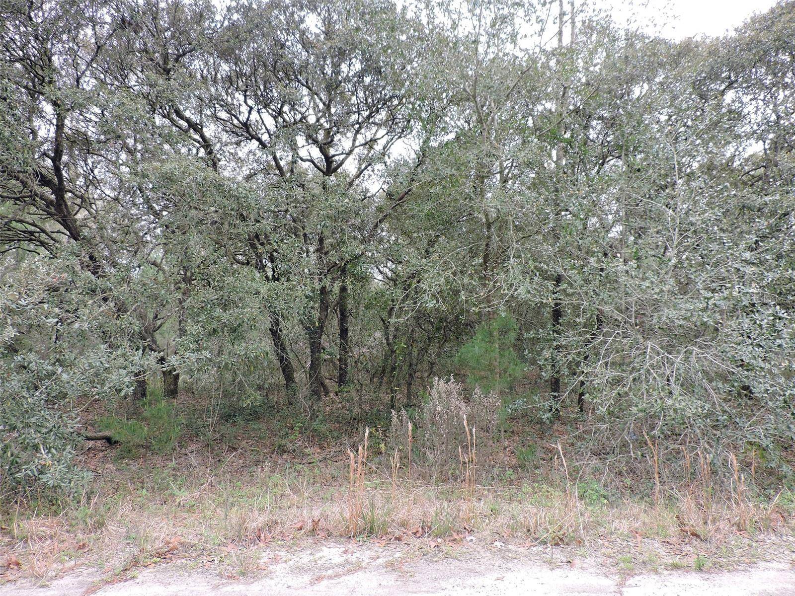 Ocklawaha, FL 32179,TBD FISHER COURT WAY