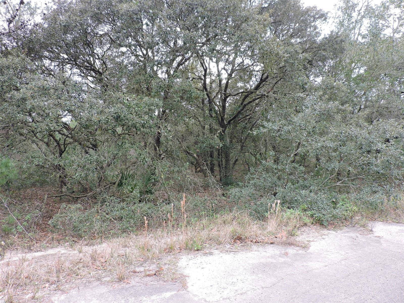 Ocklawaha, FL 32179,TBD FISHER COURT WAY