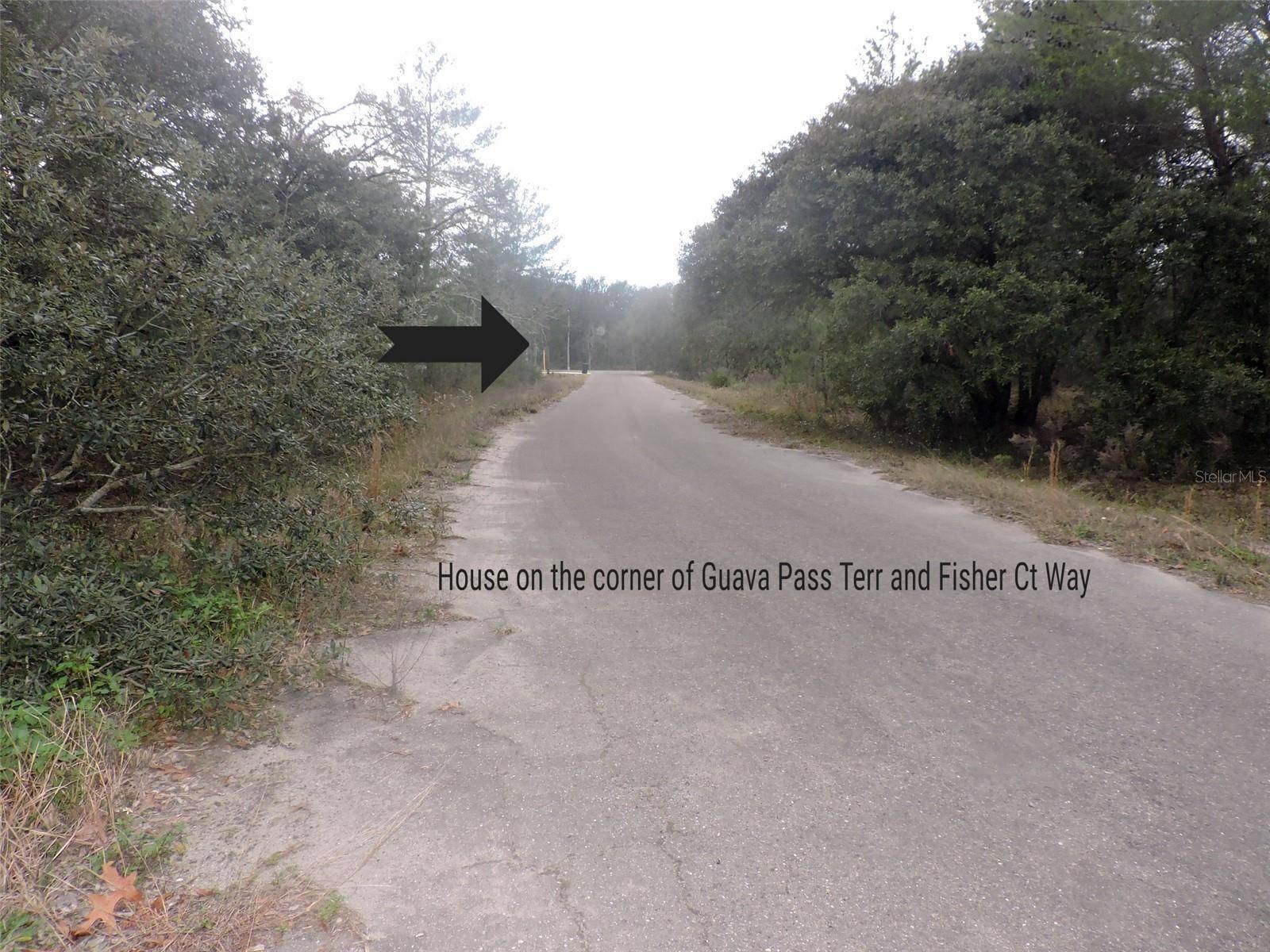 Ocklawaha, FL 32179,TBD FISHER COURT WAY