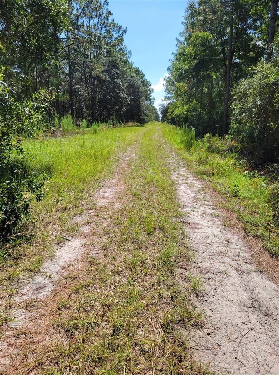 Dunnellon, FL 34432,0 SW 93RD ST