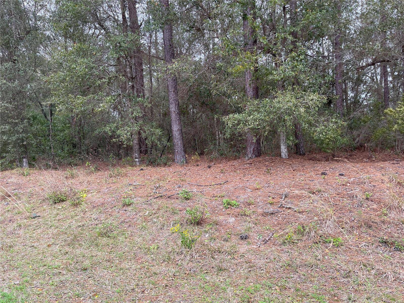 Dunnellon, FL 34431,0 SW 202 CIR