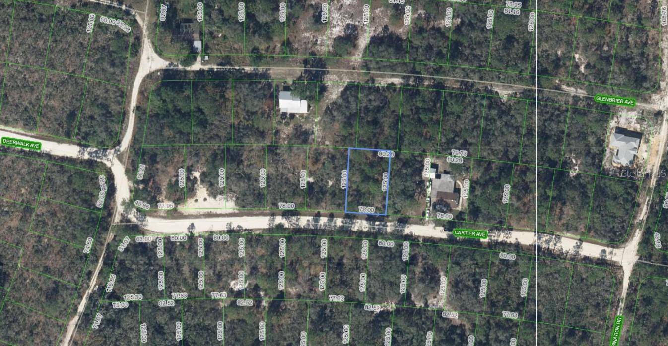 Lake Placid, FL 33852,320 CARTIER AVE