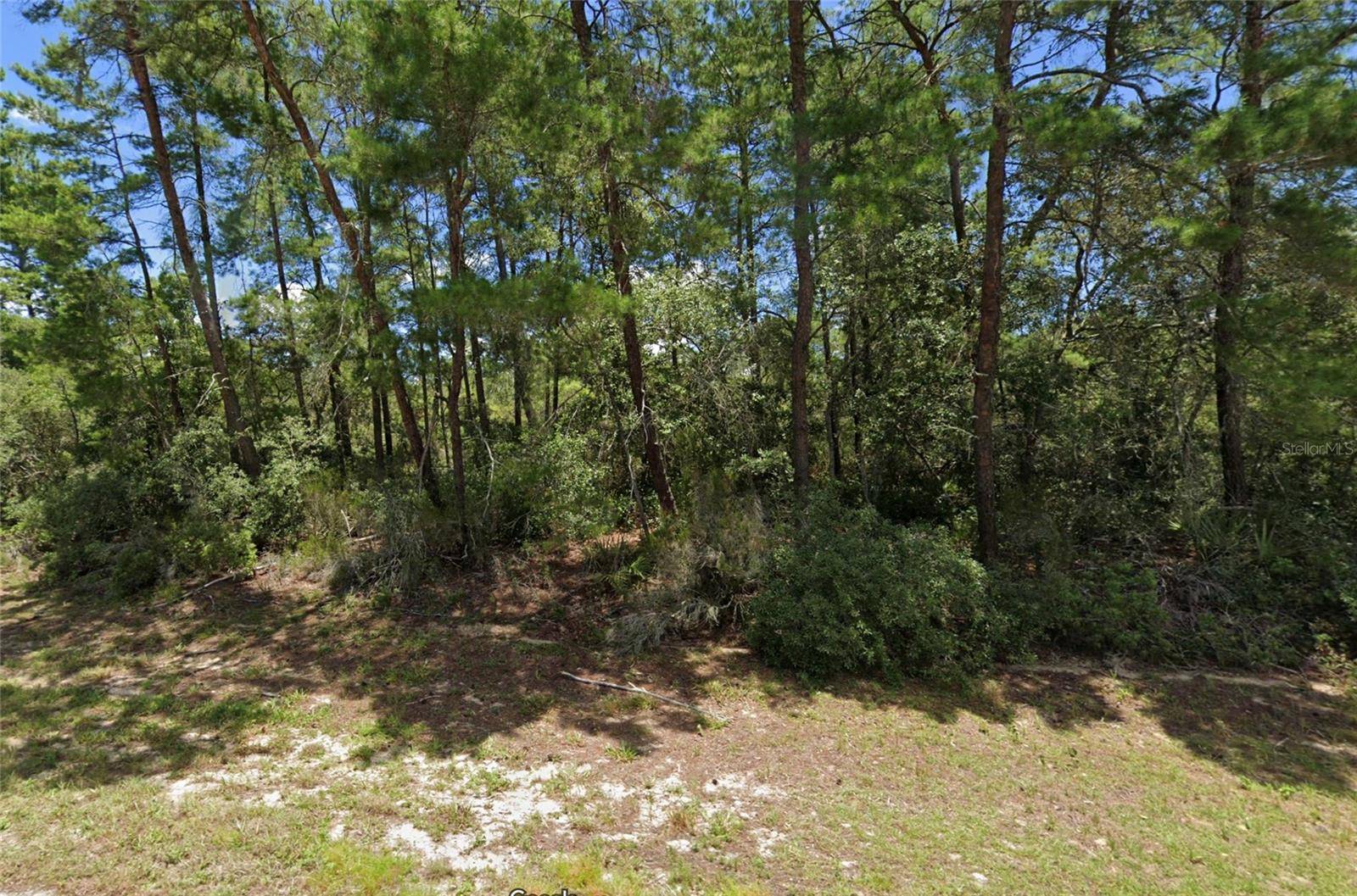 Ocala, FL 34473,TBD SW 21ST CIR