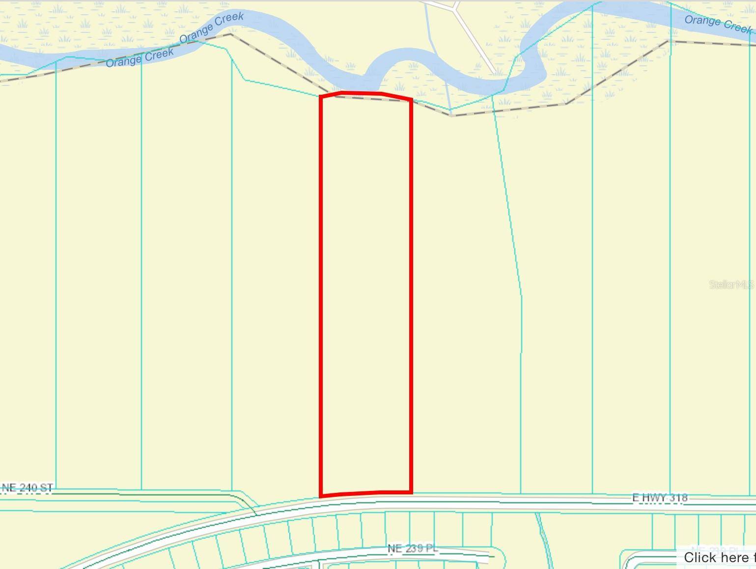 Fort Mc Coy, FL 32134,LOT 5A E HWY 318