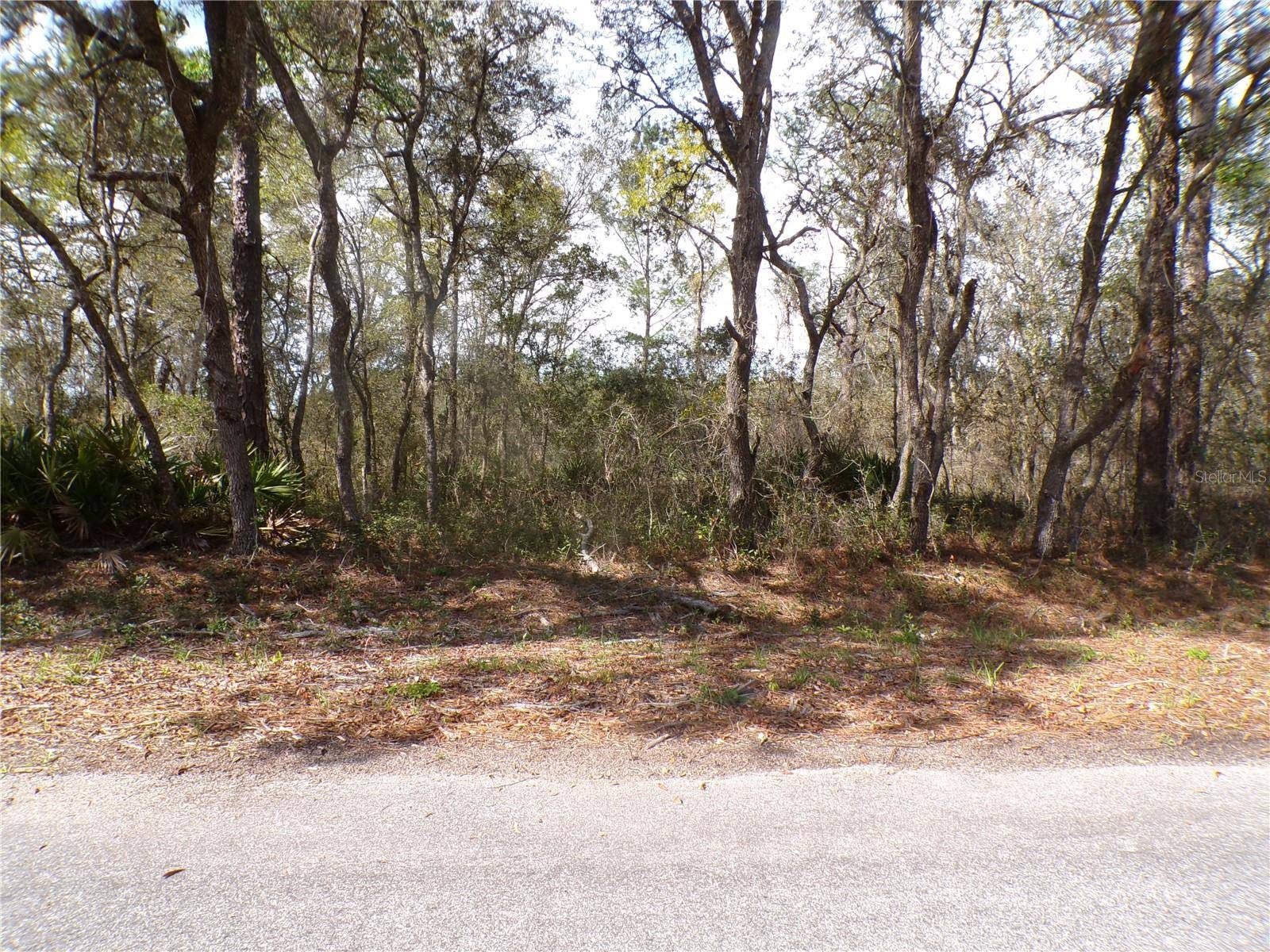 Ocklawaha, FL 32179,SE 115TH PLACE RD