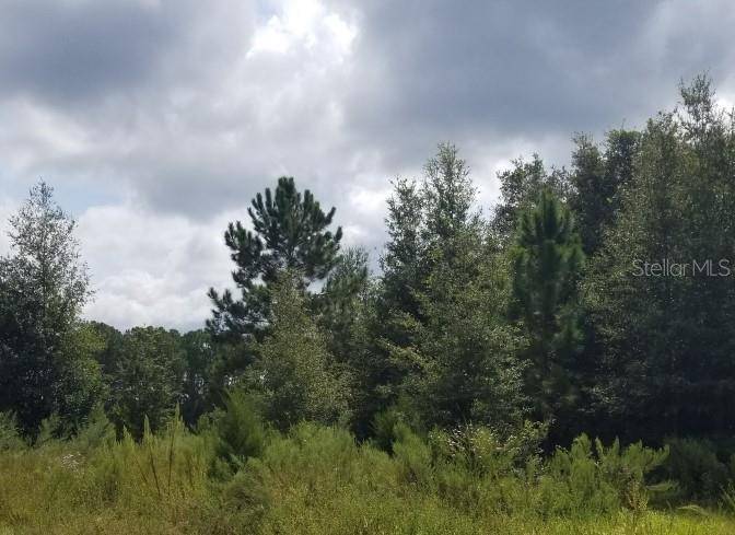 Ocala, FL 34472,0 EMERALD TRAIL RUN