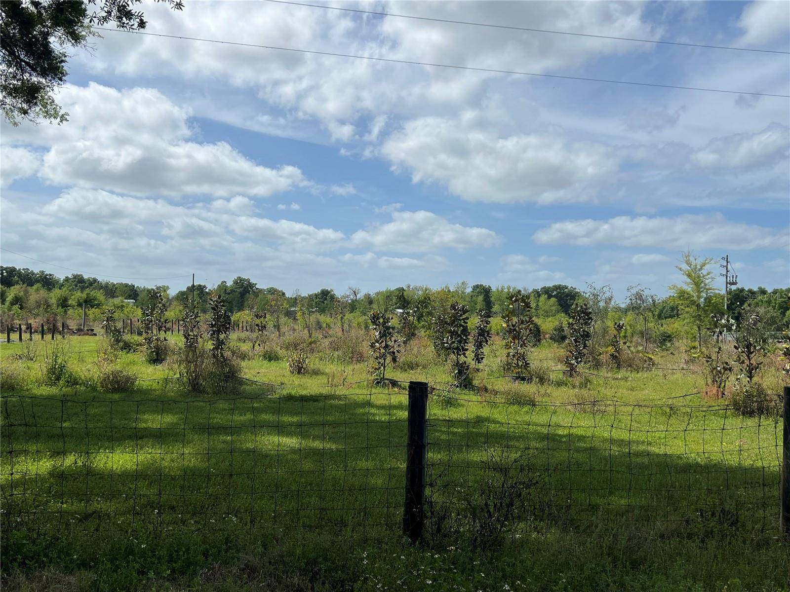 Citra, FL 32113,300 E HIGHWAY 316