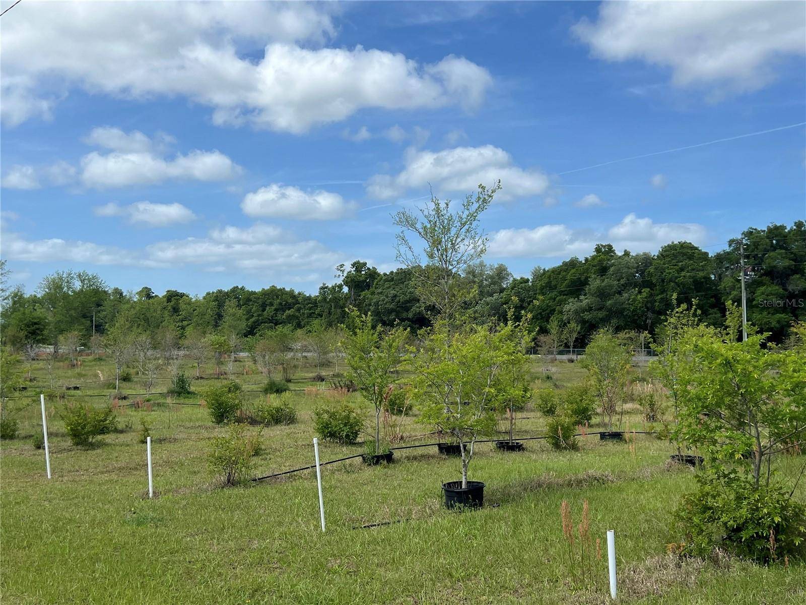 Citra, FL 32113,300 E HIGHWAY 316