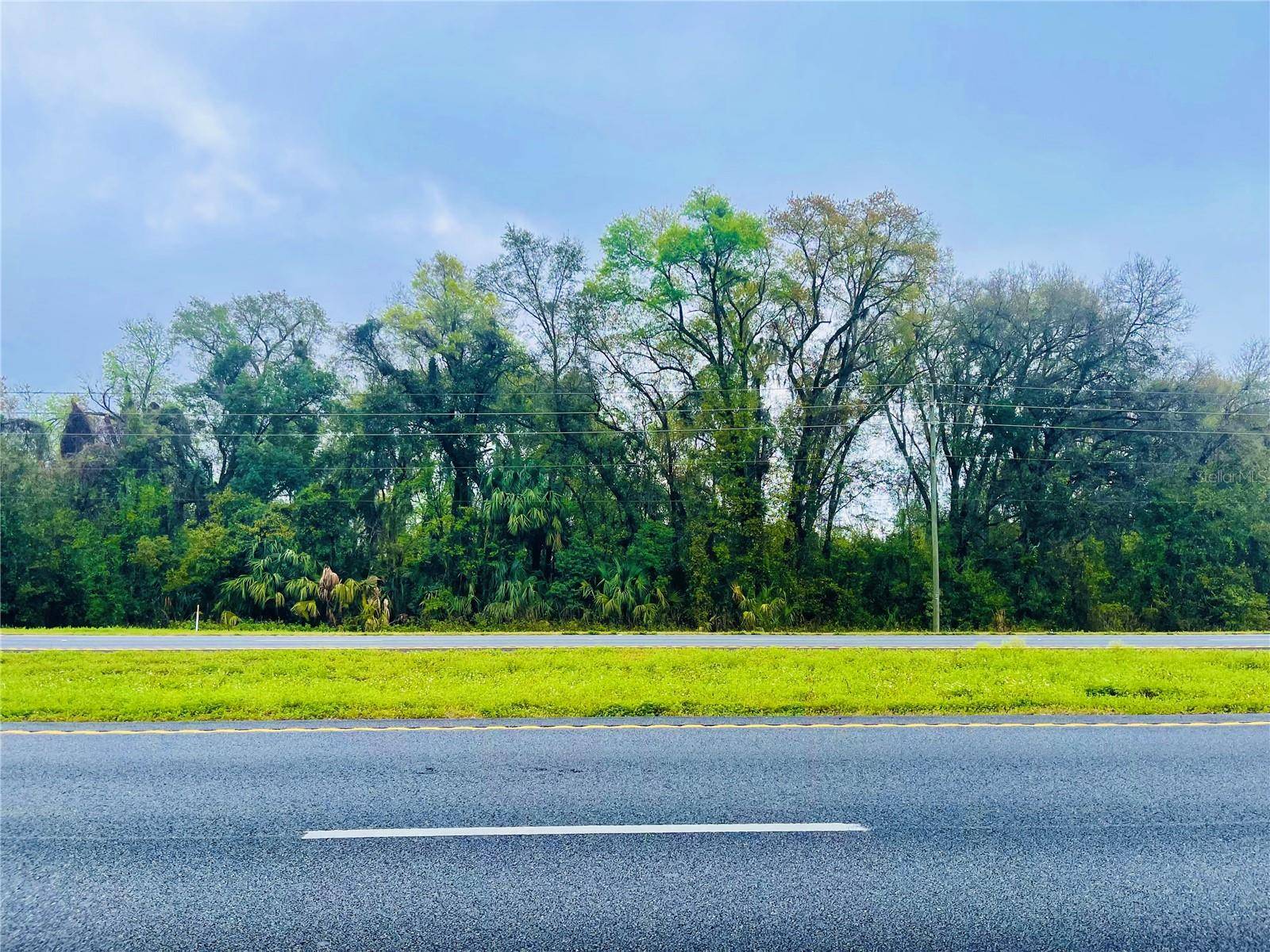 Citra, FL 32113,TBD N US HWY 441 #Lot 10