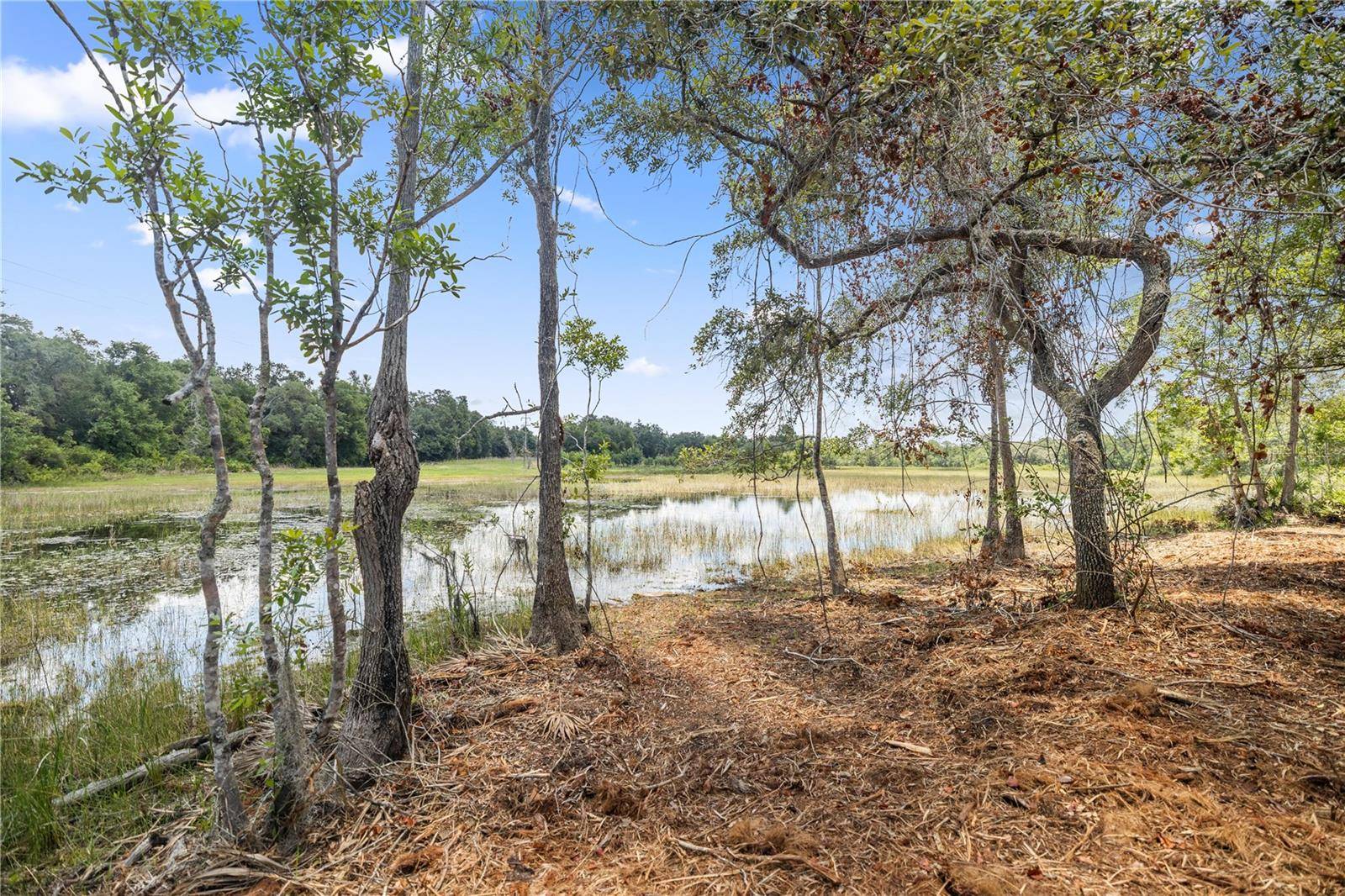 Ocklawaha, FL 32183,TBD SE 170TH AVE RD