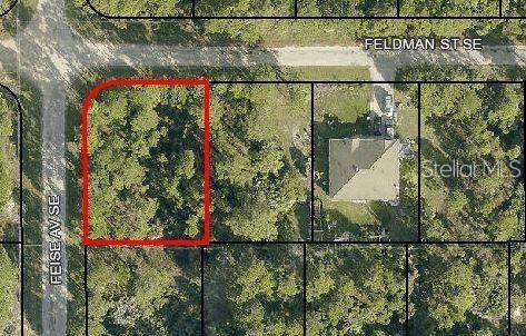 Palm Bay, FL 32909,00 FELDMAN ST SE