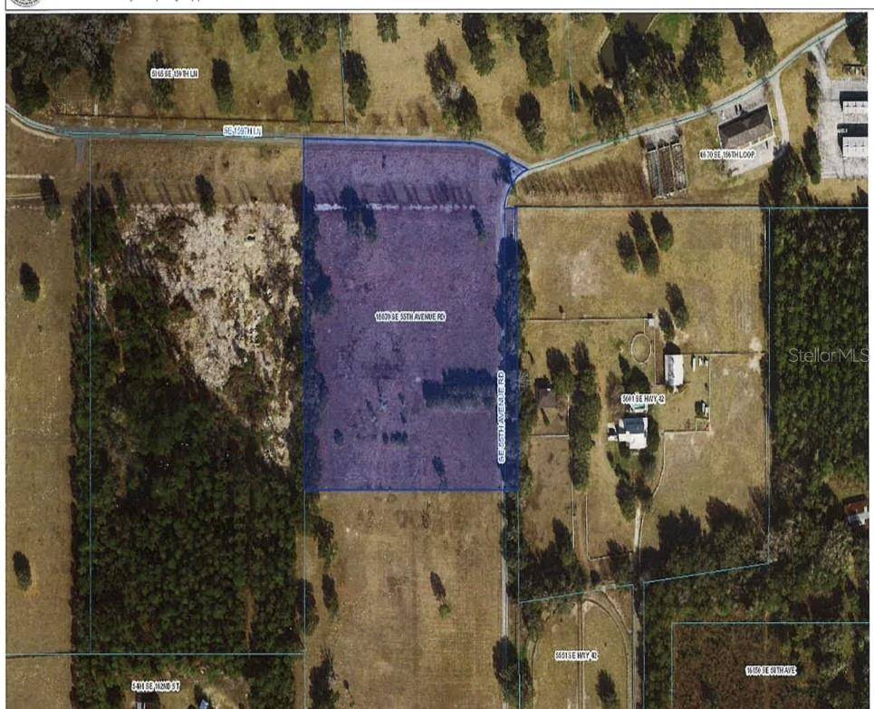 Summerfield, FL 34491,16070 SE 55 AVE RD