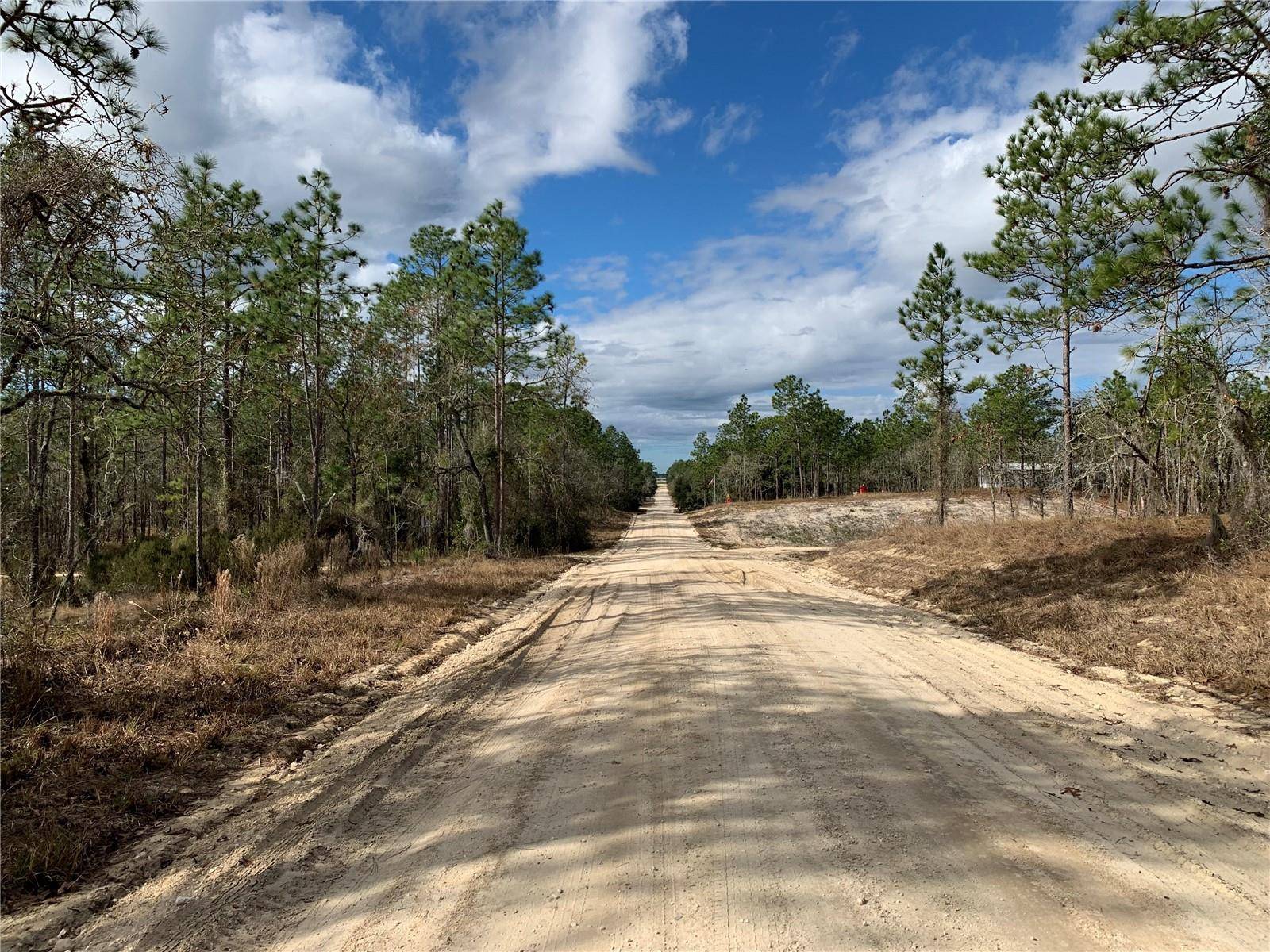 Williston, FL 32696,TBD SE 2ND ST