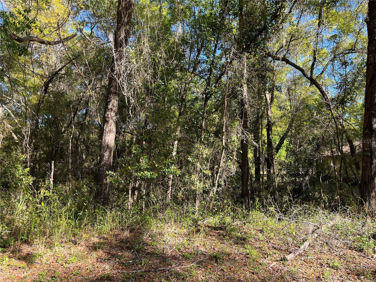 Dunnellon, FL 34432,00 SW 188TH CIR