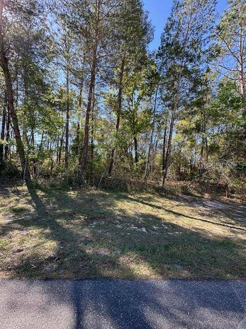 Ocala, FL 34473,LOT 5, SW 150TH PLACE