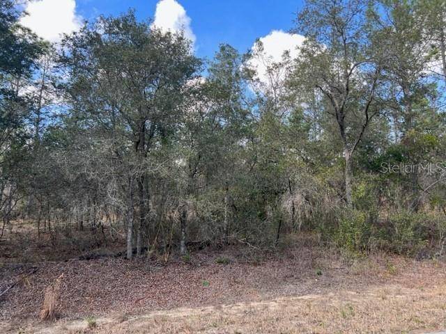 Summerfield, FL 34491,0 SE 144TH LN