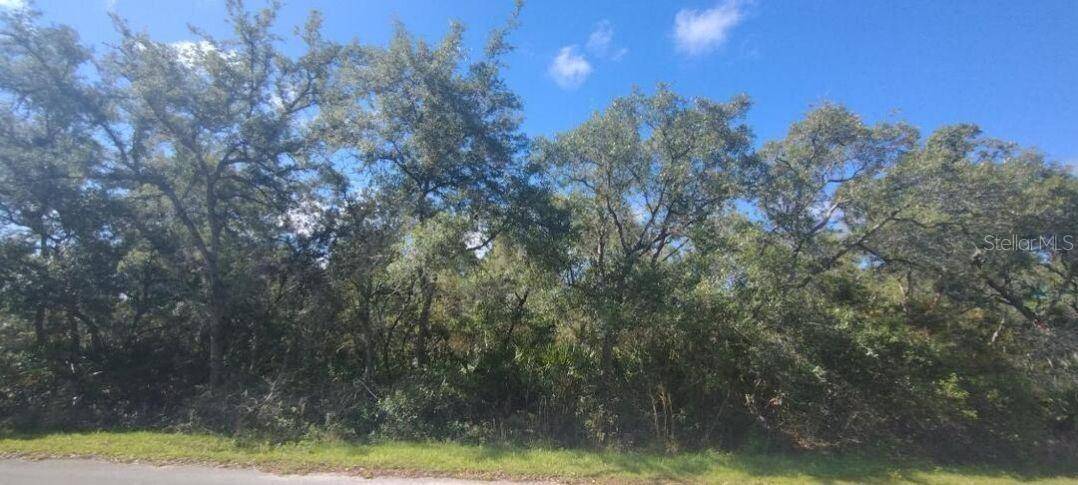 Ocklawaha, FL 32179,Lot 17 MALUAKA PASS TRCE