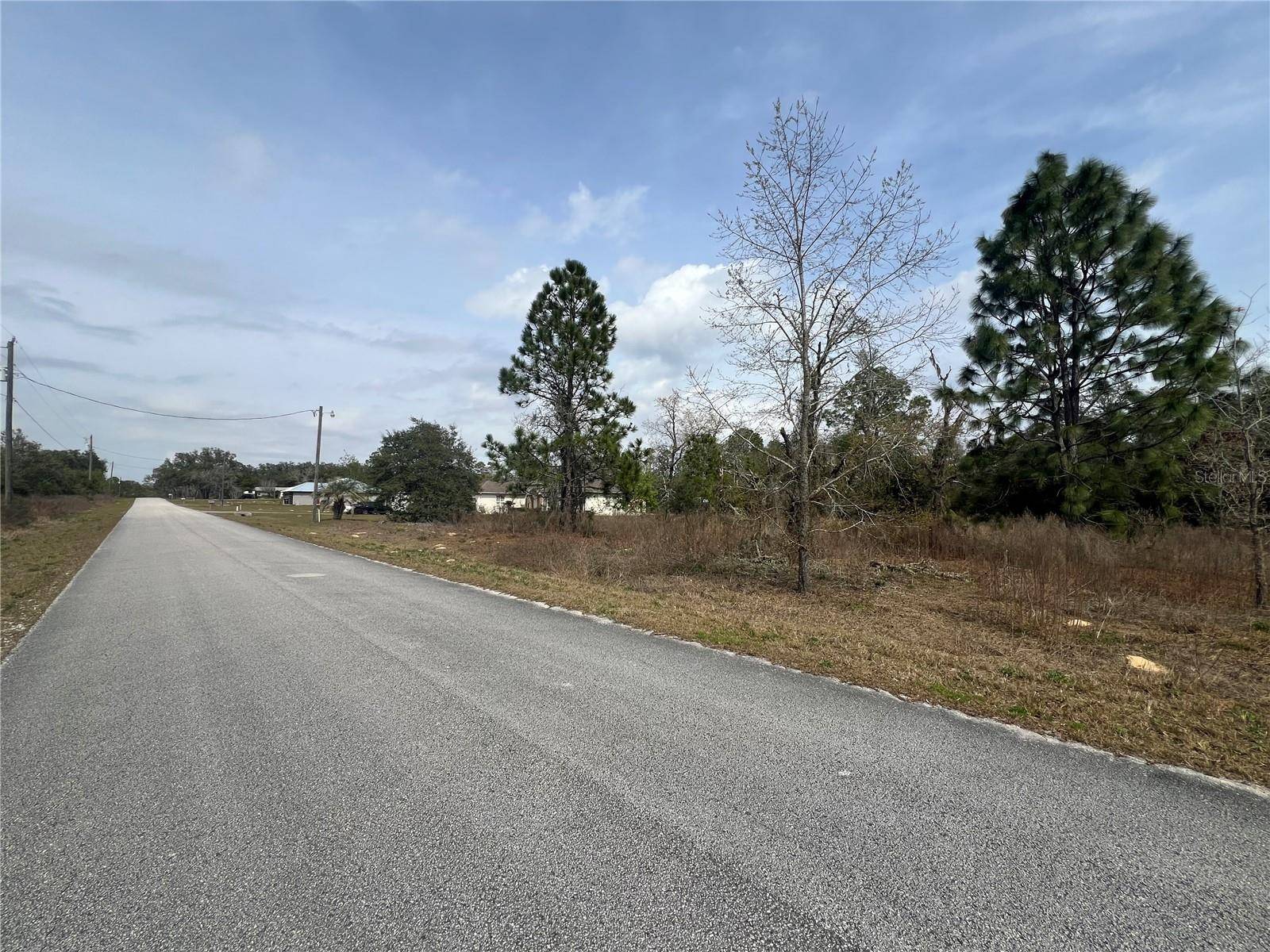 Dunnellon, FL 34431,TBD SW EVERGREEN CT