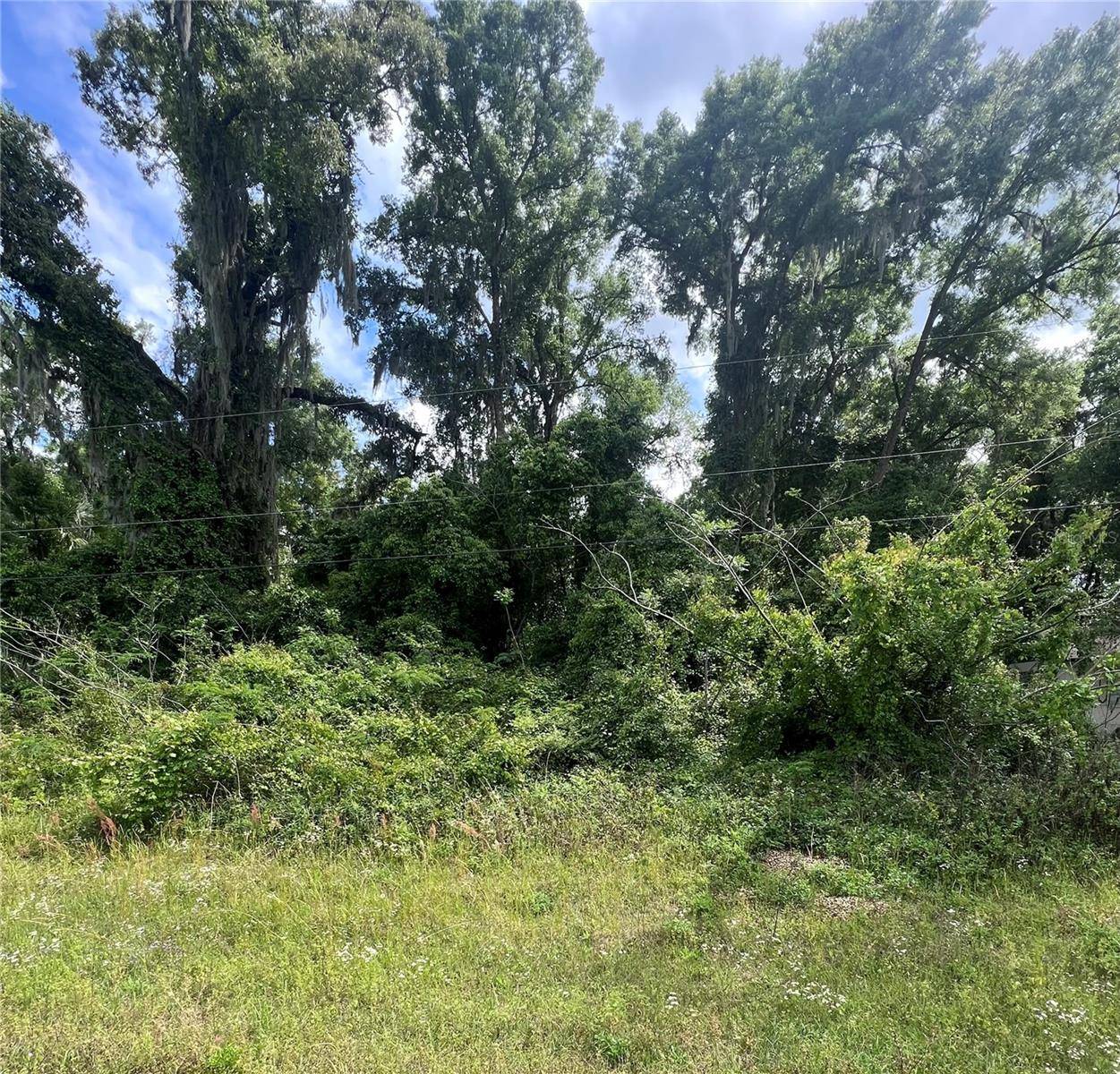 Belleview, FL 34420,TBD HIGHWAY 484