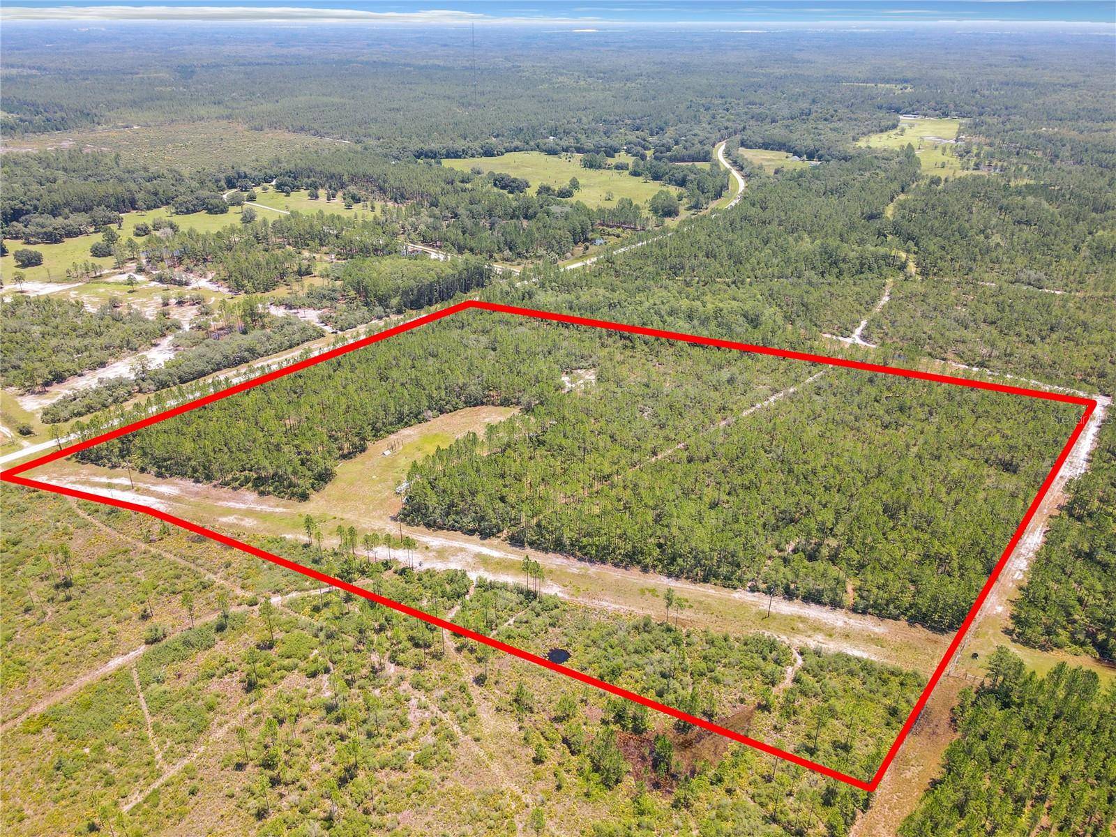 Morriston, FL 32668,TBD CR 326 DR