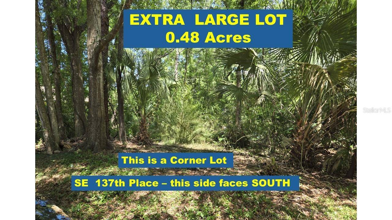 Summerfield, FL 34491,SE 137 PLACE