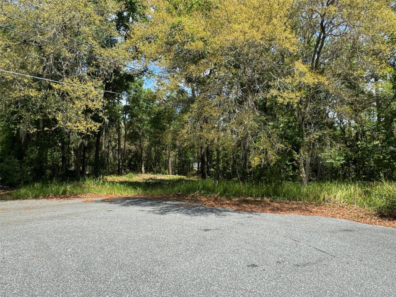 Ocala, FL 34472,TBD PINE WAY CT