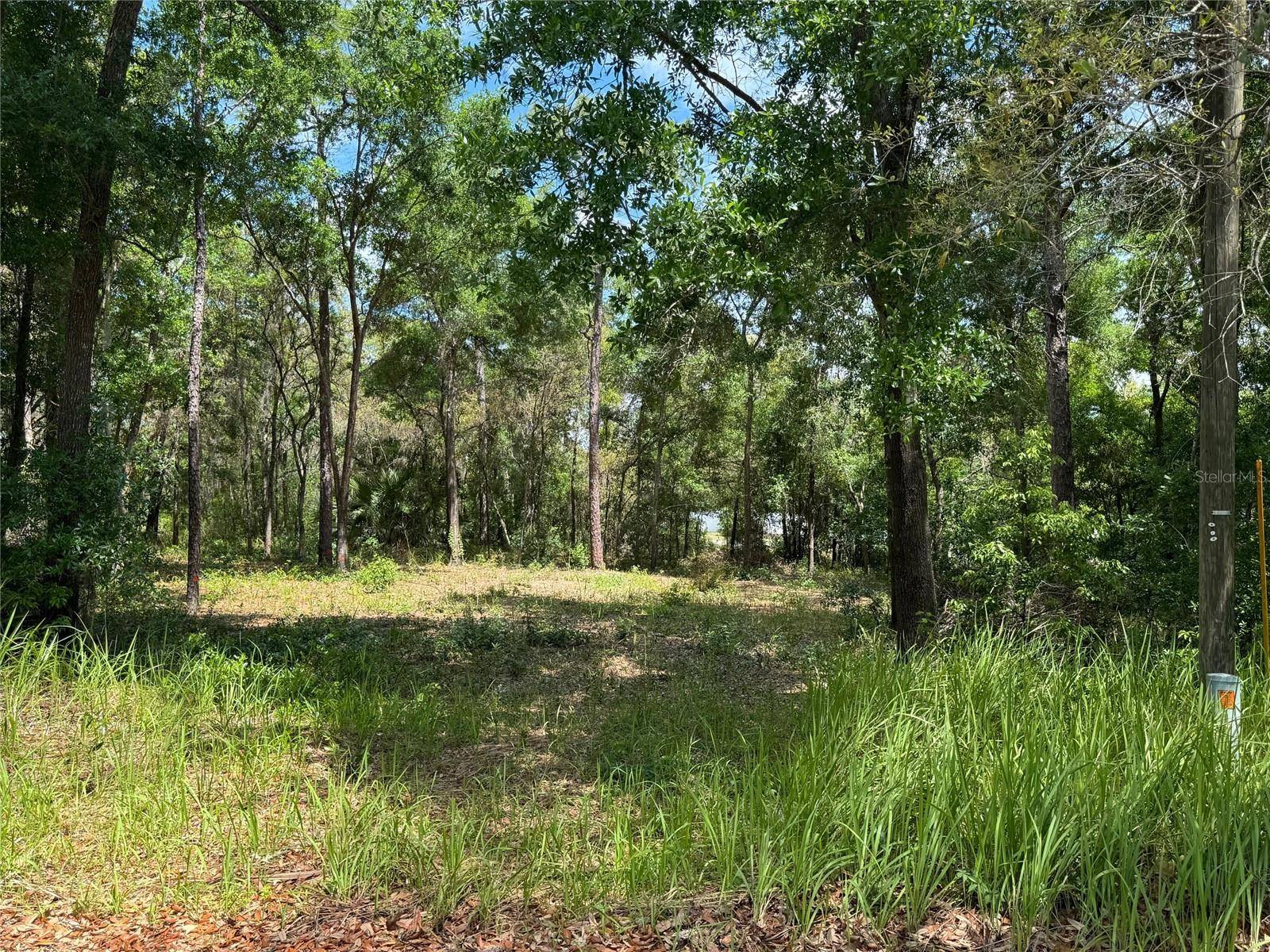 Ocala, FL 34472,TBD PINE WAY CT