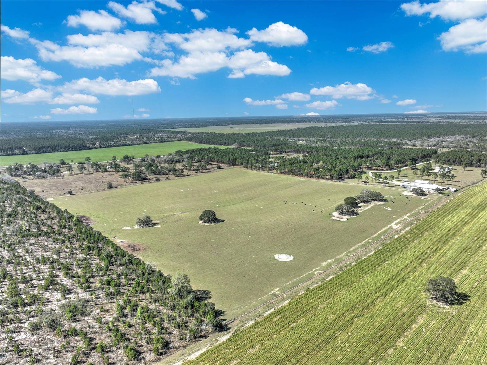 Morriston, FL 32668,00 SE 54TH