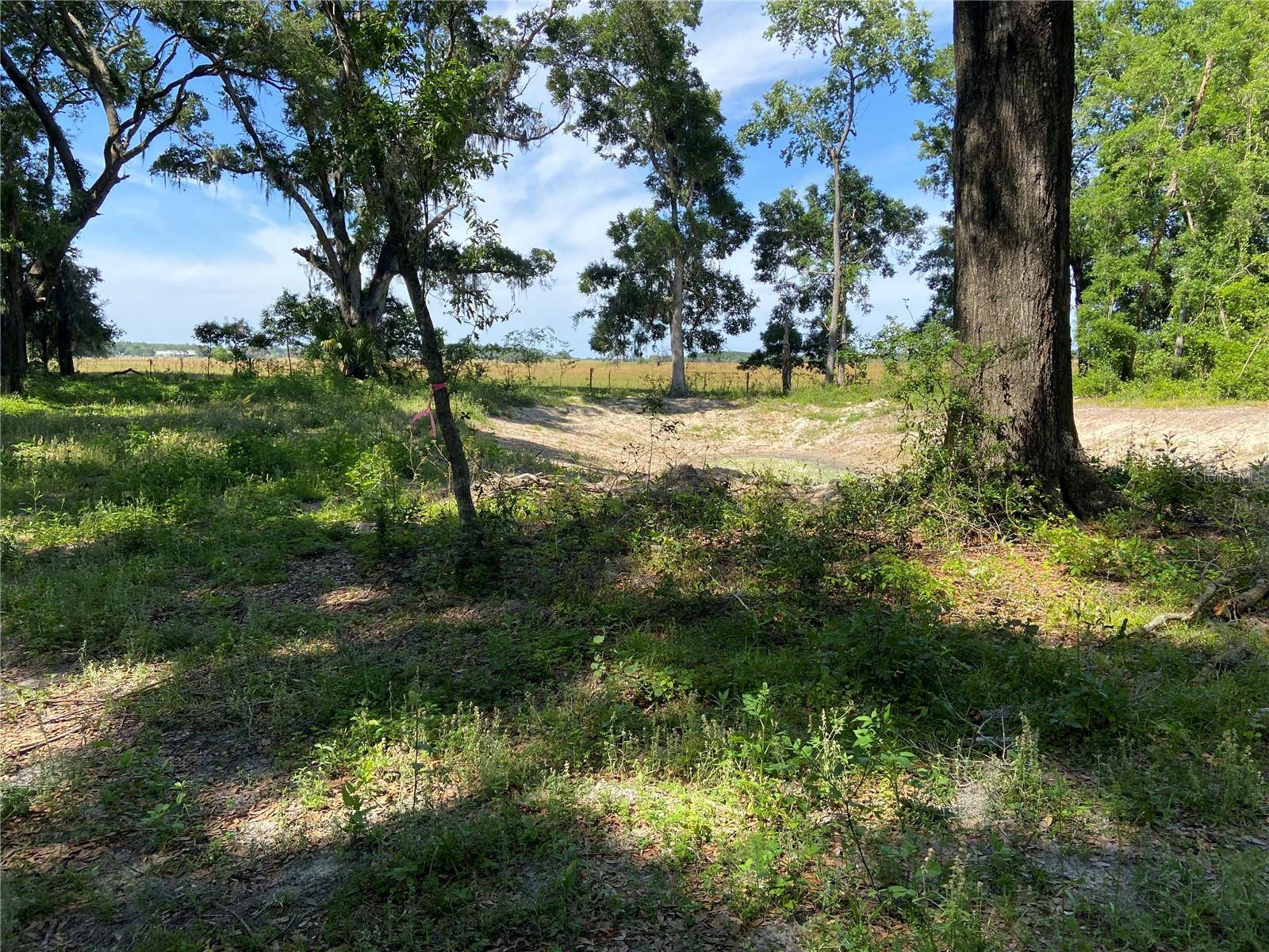 Dunnellon, FL 34432,0 SW 177TH CT #Lot 1