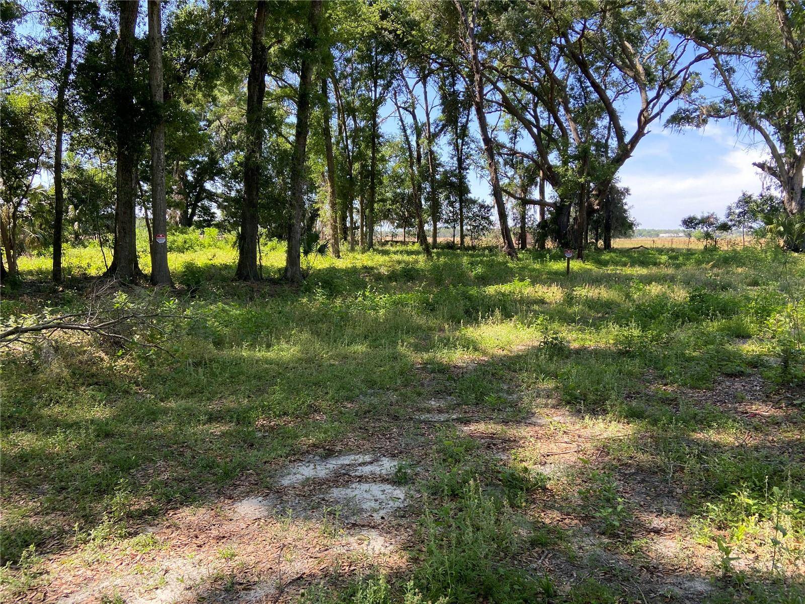 Dunnellon, FL 34432,0 SW 177TH CT #Lot 1