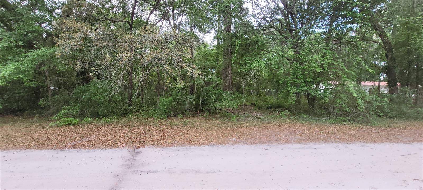 Fort Mc Coy, FL 32134,0 NE 153RD STREET