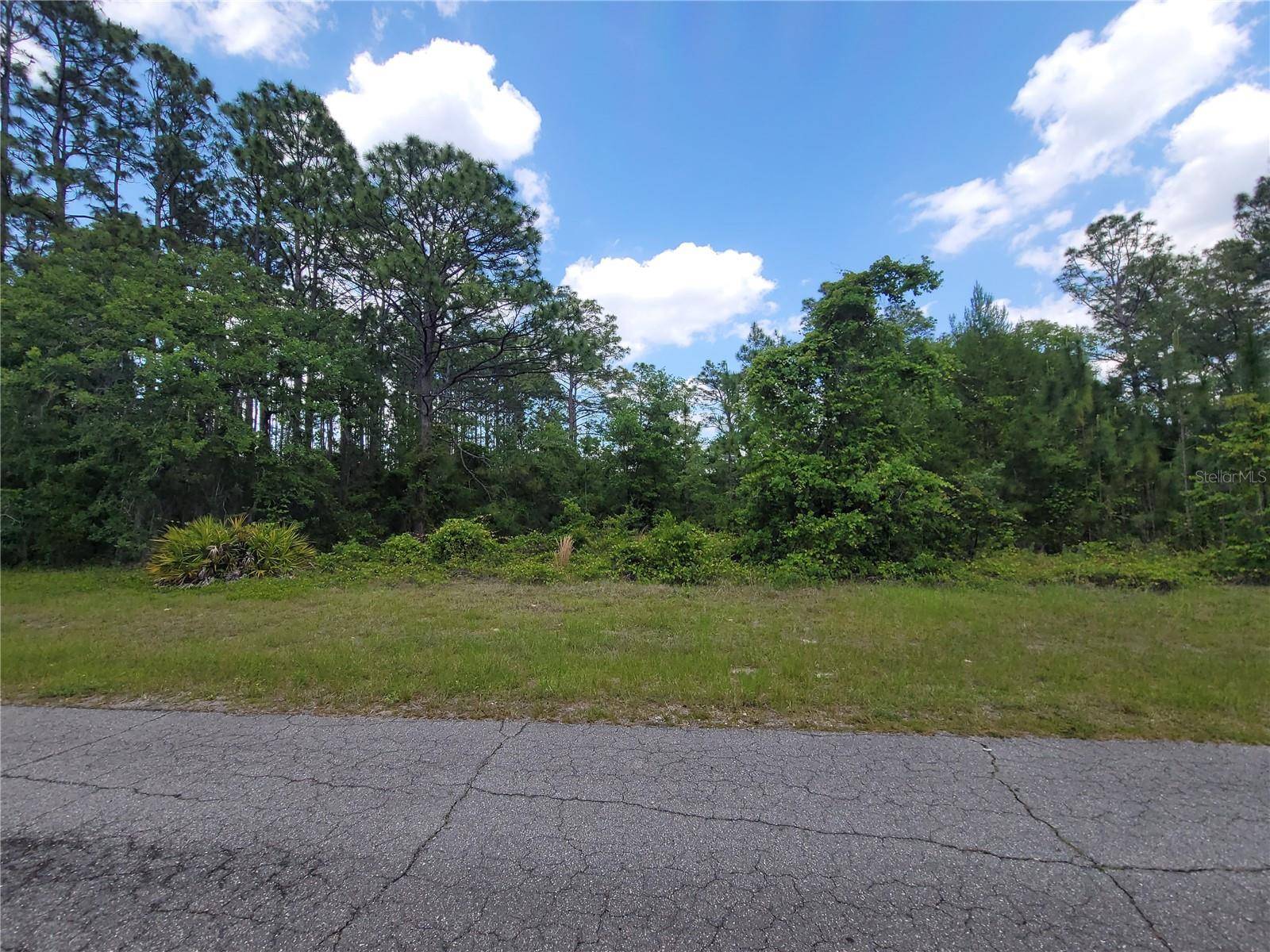 Ocala, FL 34473,Lot 14 SW 80TH AVE