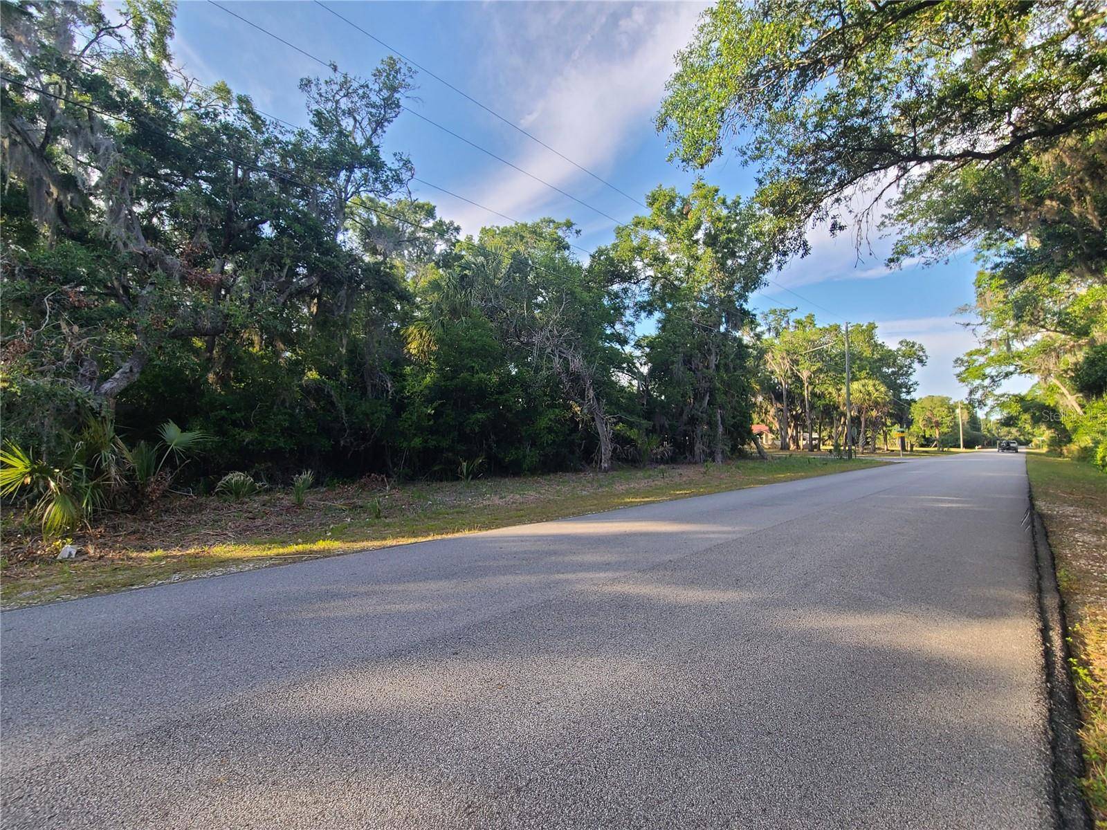 Crystal River, FL 34428,9840 N SNOWBALL PT