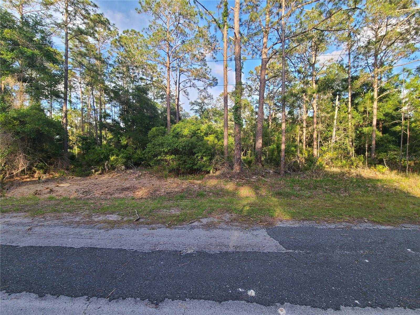 Crystal River, FL 34428,9263 N BONSAI AVE