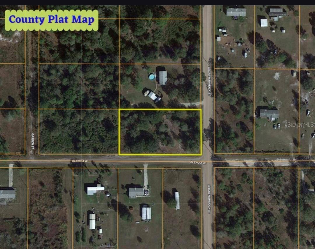 Lake Wales, FL 33859,000 CEDAR HAMMOCK ST