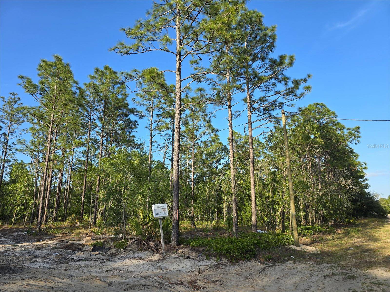 Dunnellon, FL 34432,TBD SW 99TH LN