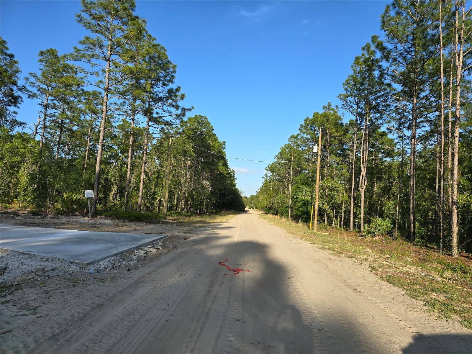 Dunnellon, FL 34432,TBD SW 99TH LN