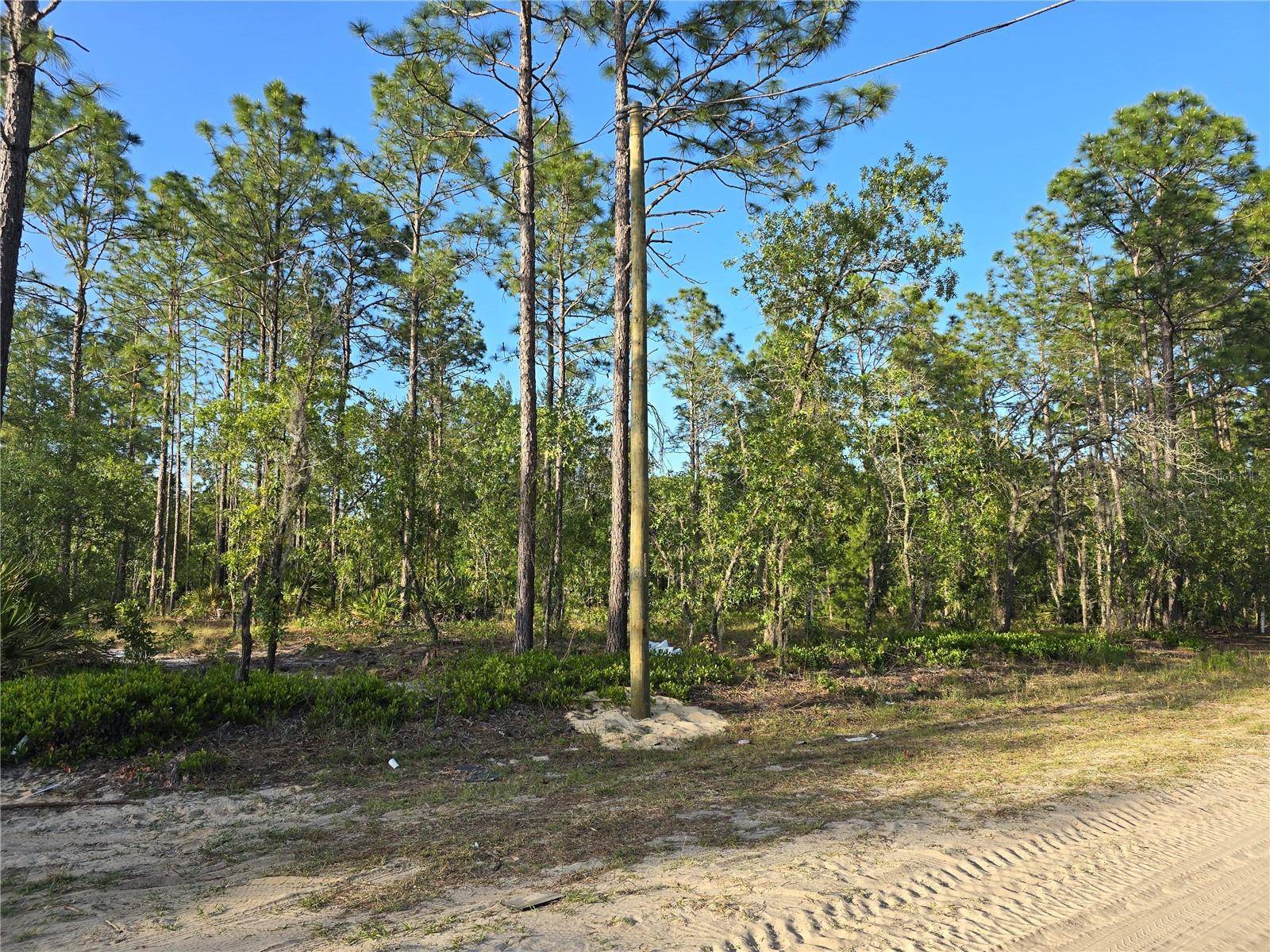 Dunnellon, FL 34432,TBD SW 99TH LN