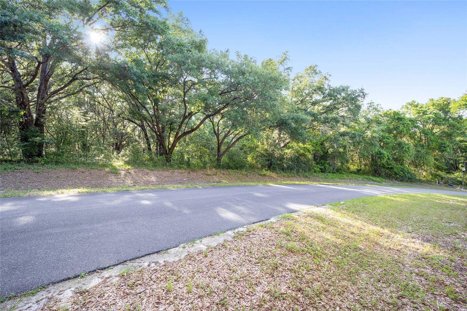 Belleview, FL 34420,00 SE 101ST COURT RD, LOT 26 CT